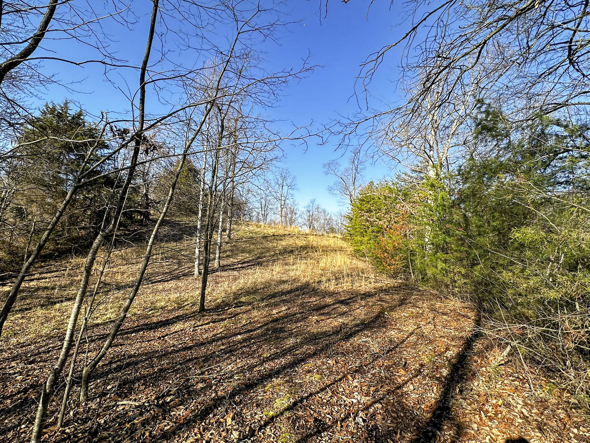 2945 Peacock Lane, Dandridge, Tennessee image 47