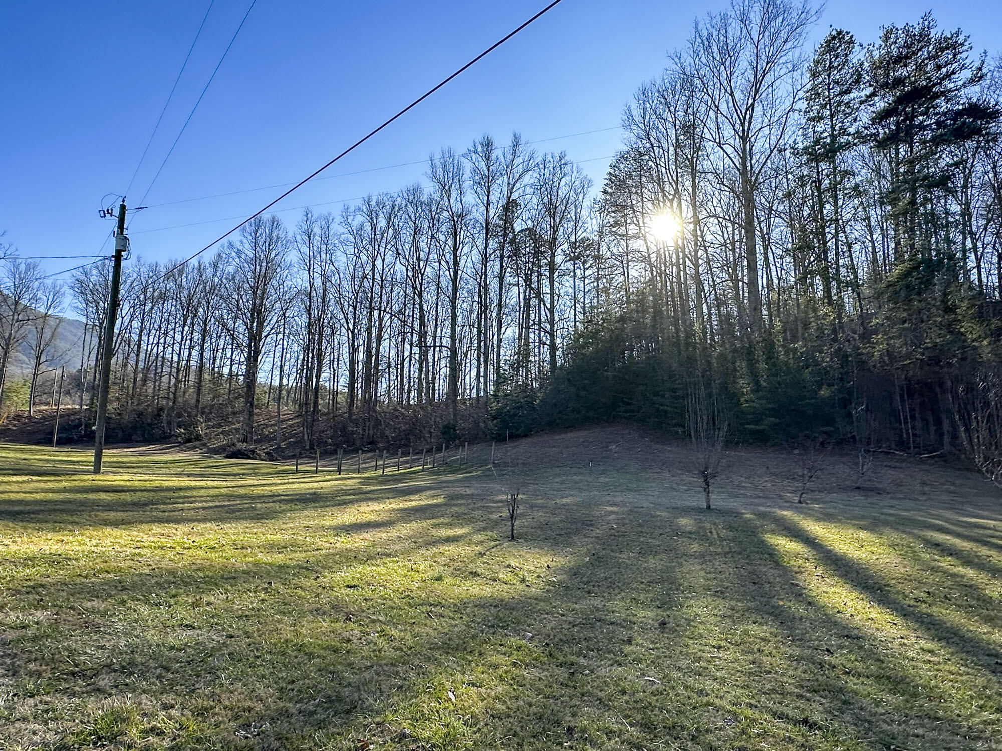 2945 Peacock Lane, Dandridge, Tennessee image 38