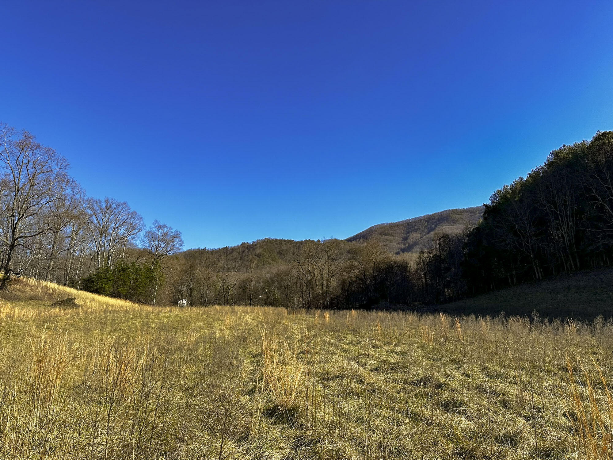 2945 Peacock Lane, Dandridge, Tennessee image 13