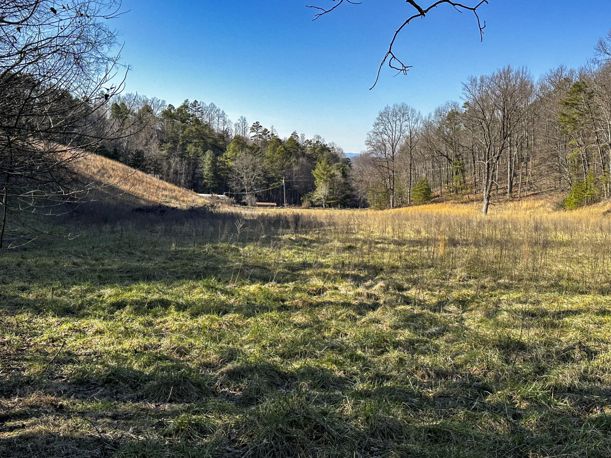 2945 Peacock Lane, Dandridge, Tennessee image 32