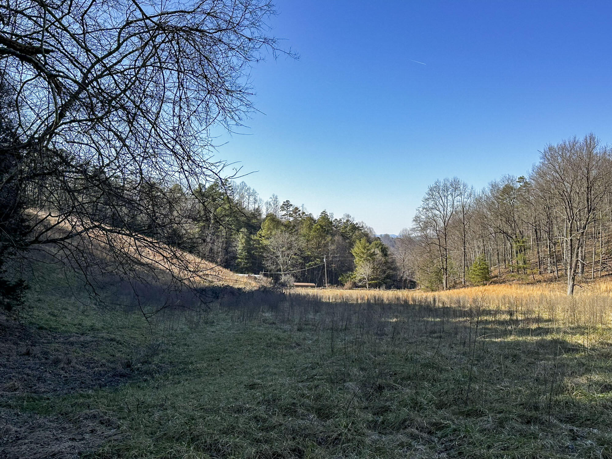 2945 Peacock Lane, Dandridge, Tennessee image 31