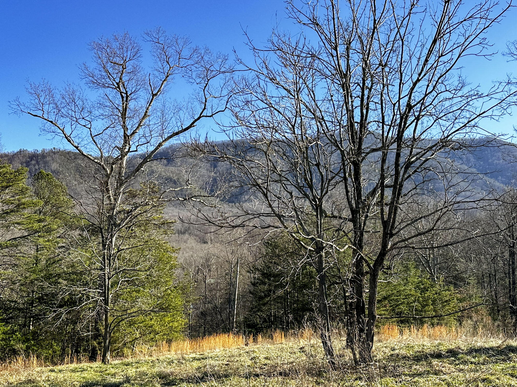 2945 Peacock Lane, Dandridge, Tennessee image 42