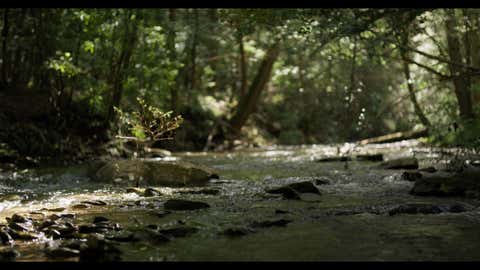 Photo of 0 Barker Camp Road, Dunlap, TN 37327 (MLS # 1540326)