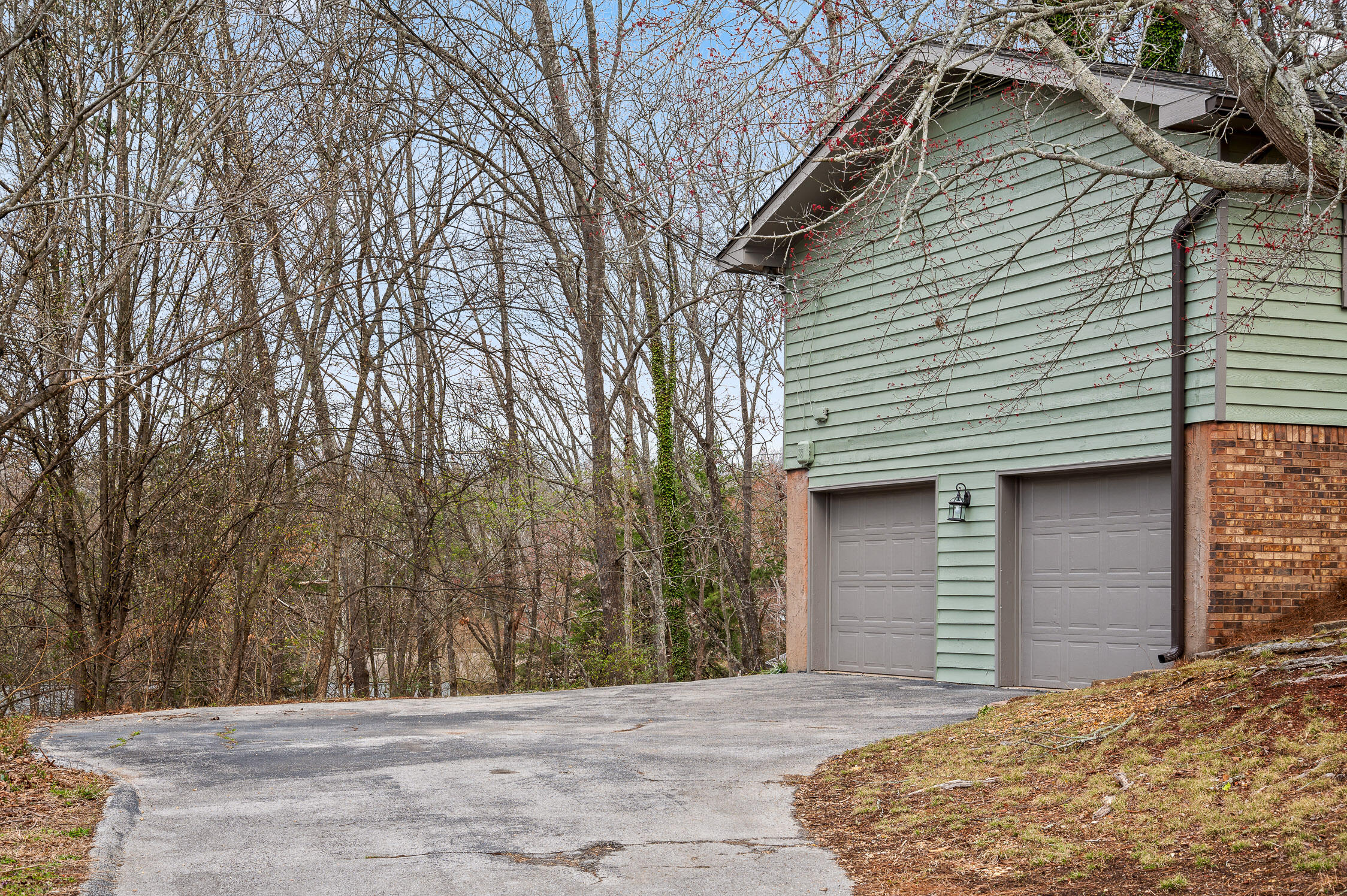 7504 Hydrus Drive, Harrison, Tennessee image 4