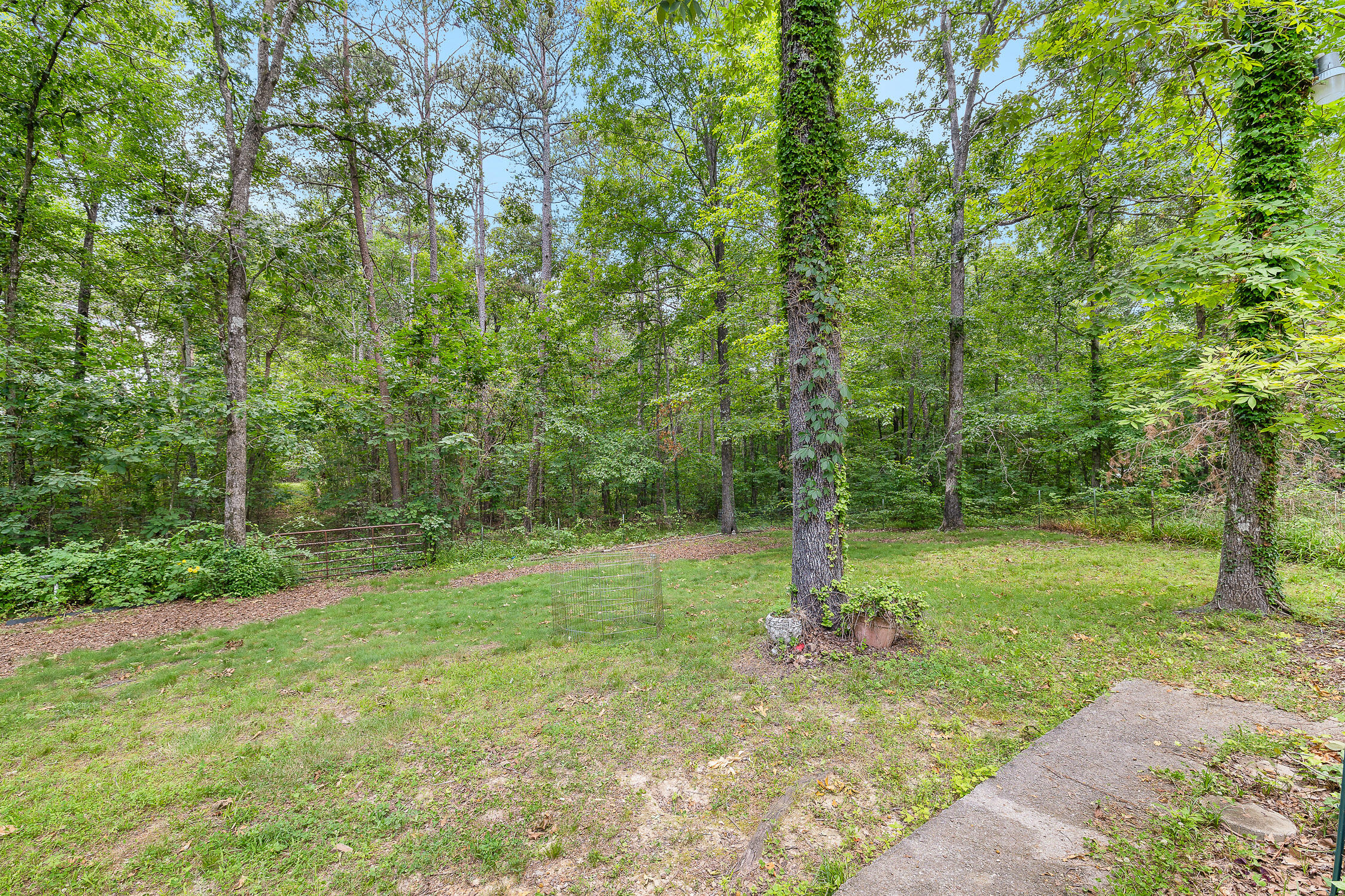 403 Lyman Daniel Road, Trenton, Georgia image 6
