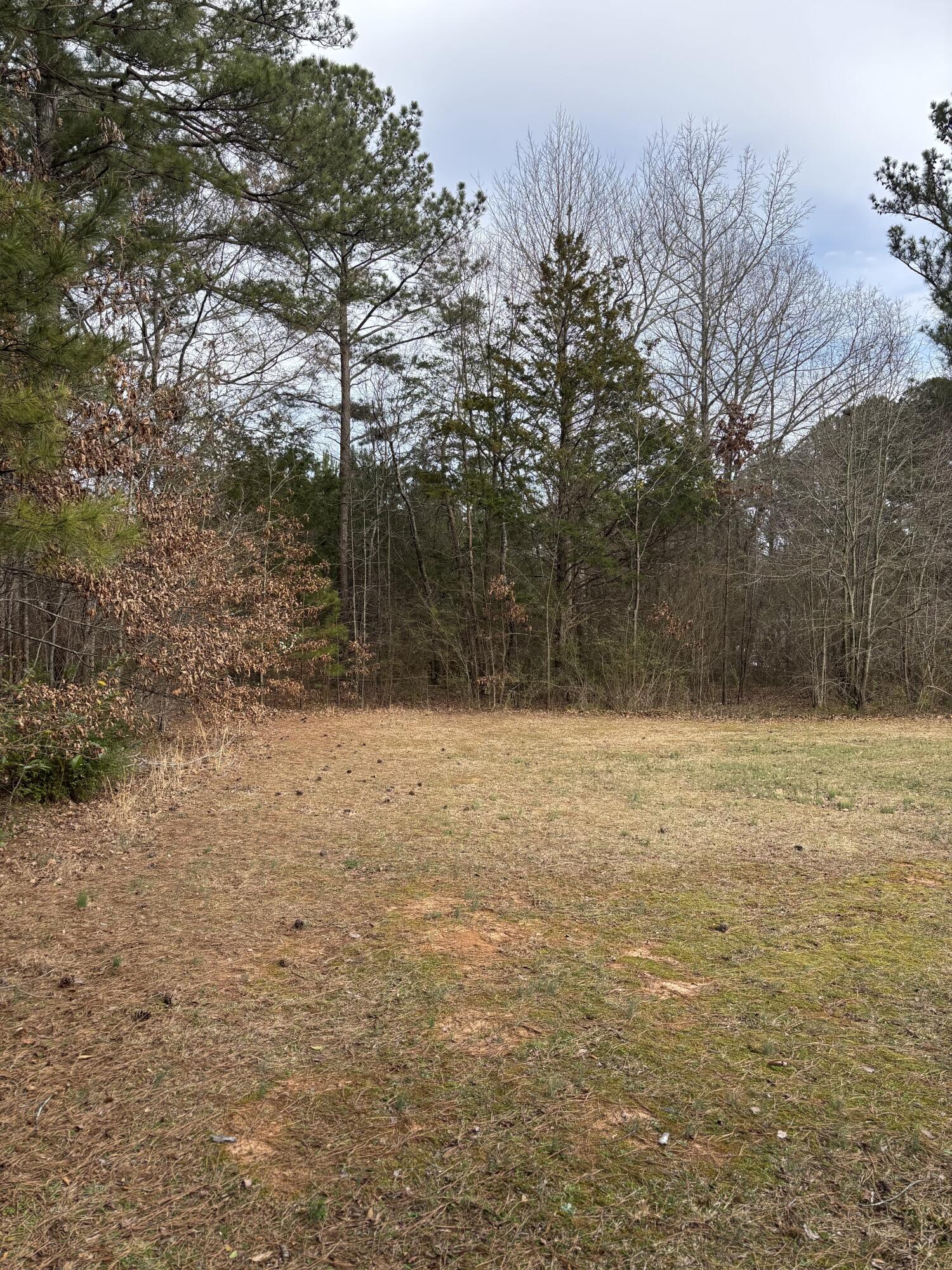 285 Dogwood Hills Drive, Chatsworth, Georgia image 21