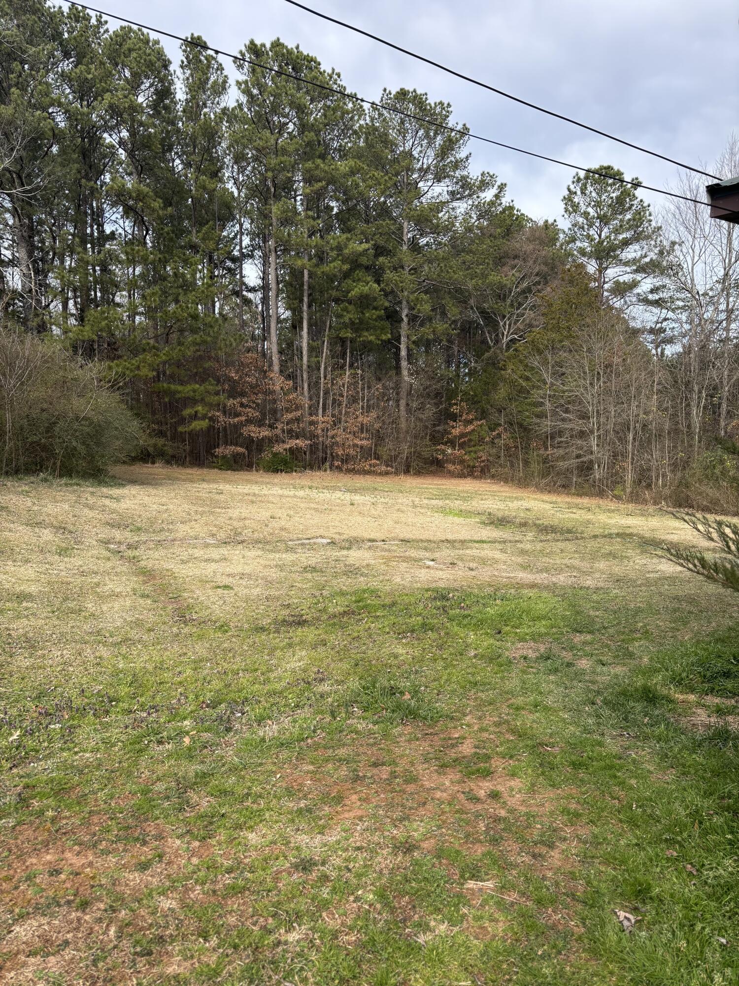 285 Dogwood Hills Drive, Chatsworth, Georgia image 24