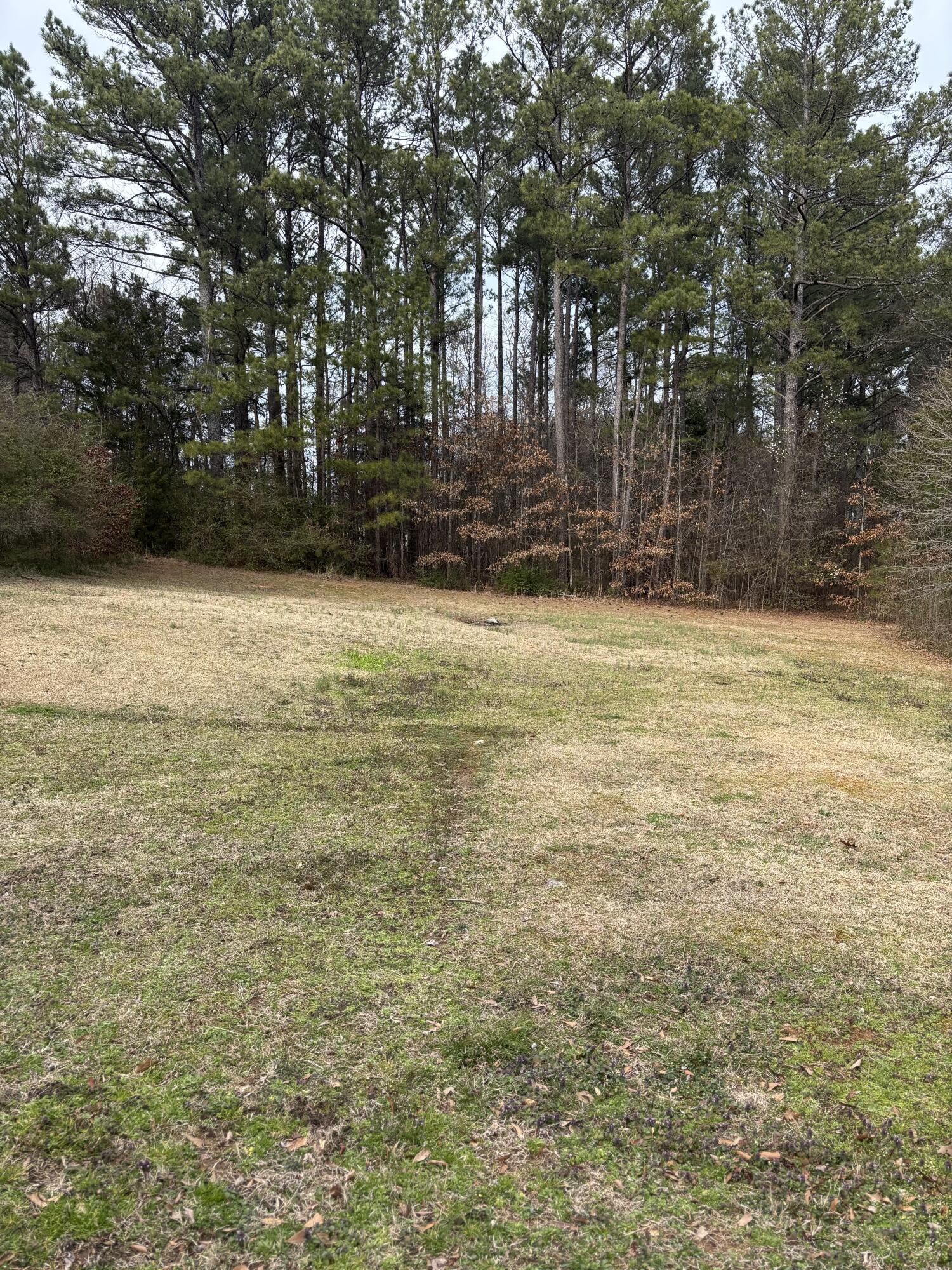 285 Dogwood Hills Drive, Chatsworth, Georgia image 23
