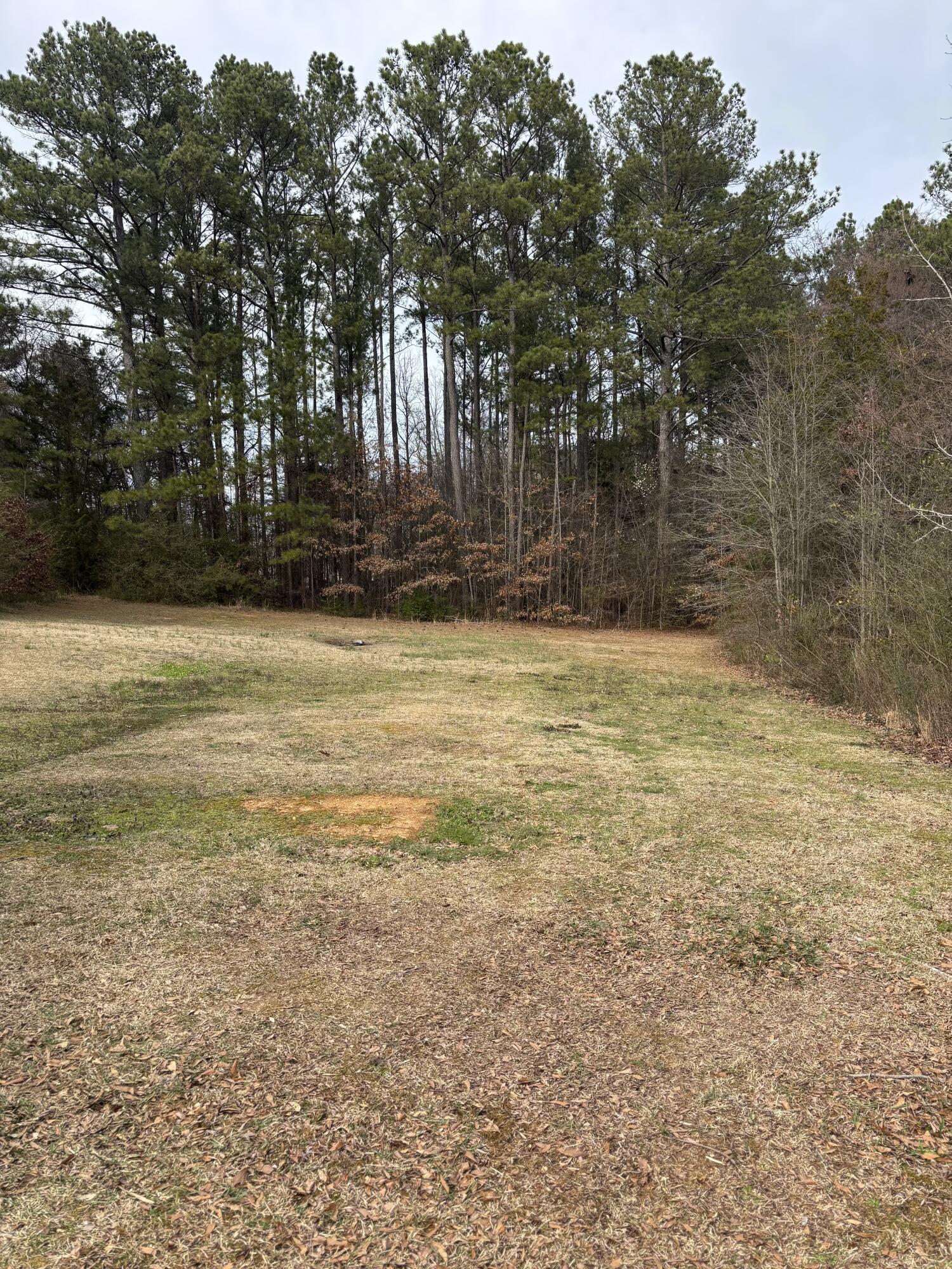 285 Dogwood Hills Drive, Chatsworth, Georgia image 22