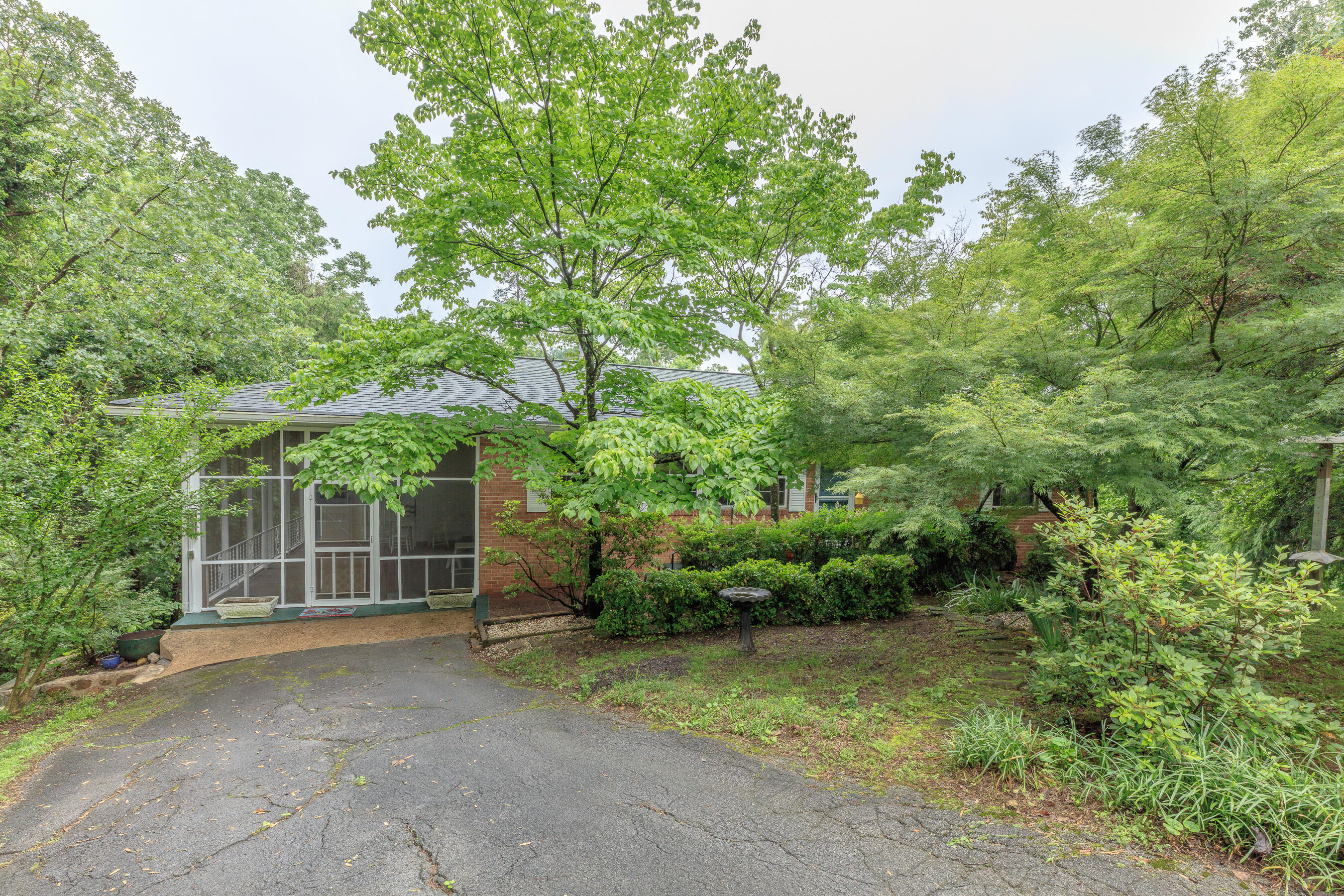 3503 Cline Crest Street, Chattanooga, Tennessee image 3