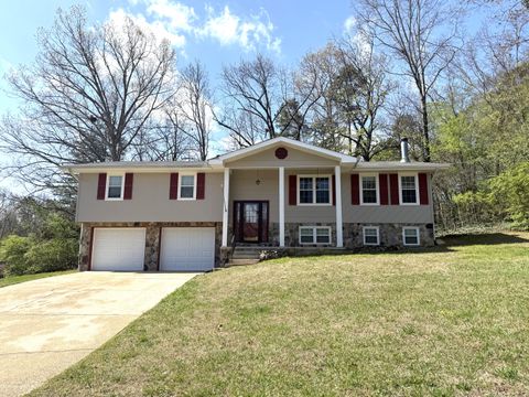 Photo of 2530 Allegheny Drive, Chattanooga, TN 37421 (MLS # 1532195)