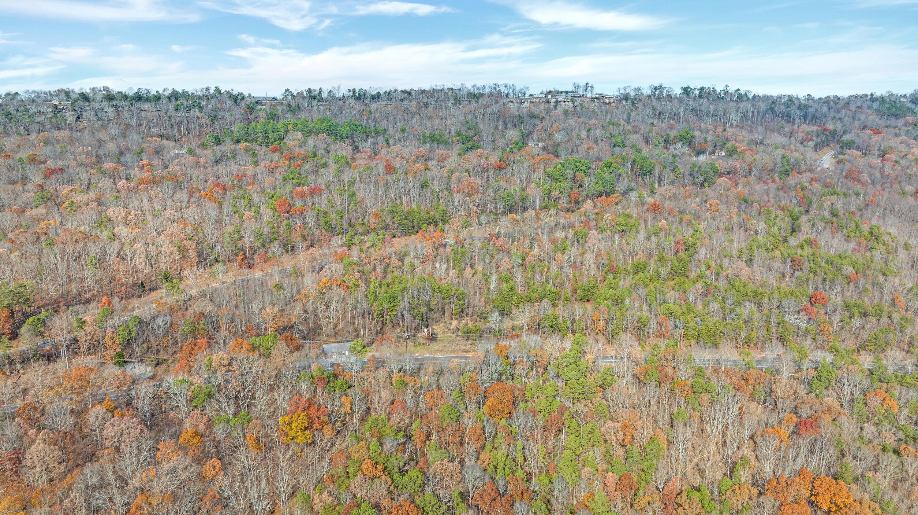 000 W Ga 136 Highway, Trenton, Georgia image 14