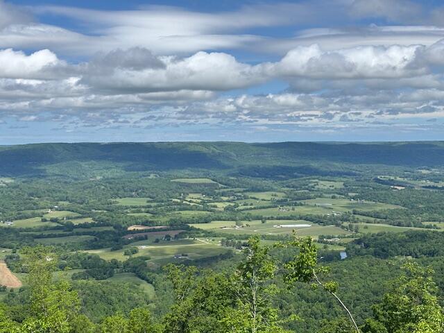 1459 Porch Rock Road, Pikeville, Tennessee image 3