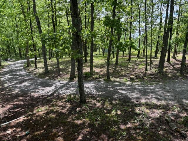 1459 Porch Rock Road, Pikeville, Tennessee image 23