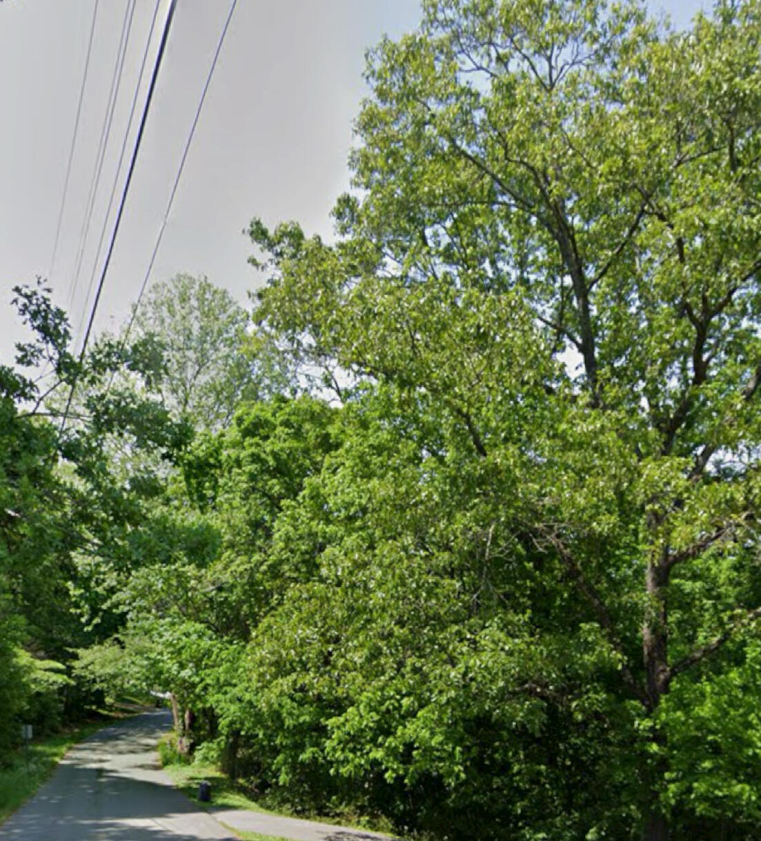 Tinkerbell Circle #LOT 27, Flintstone, Georgia image 1