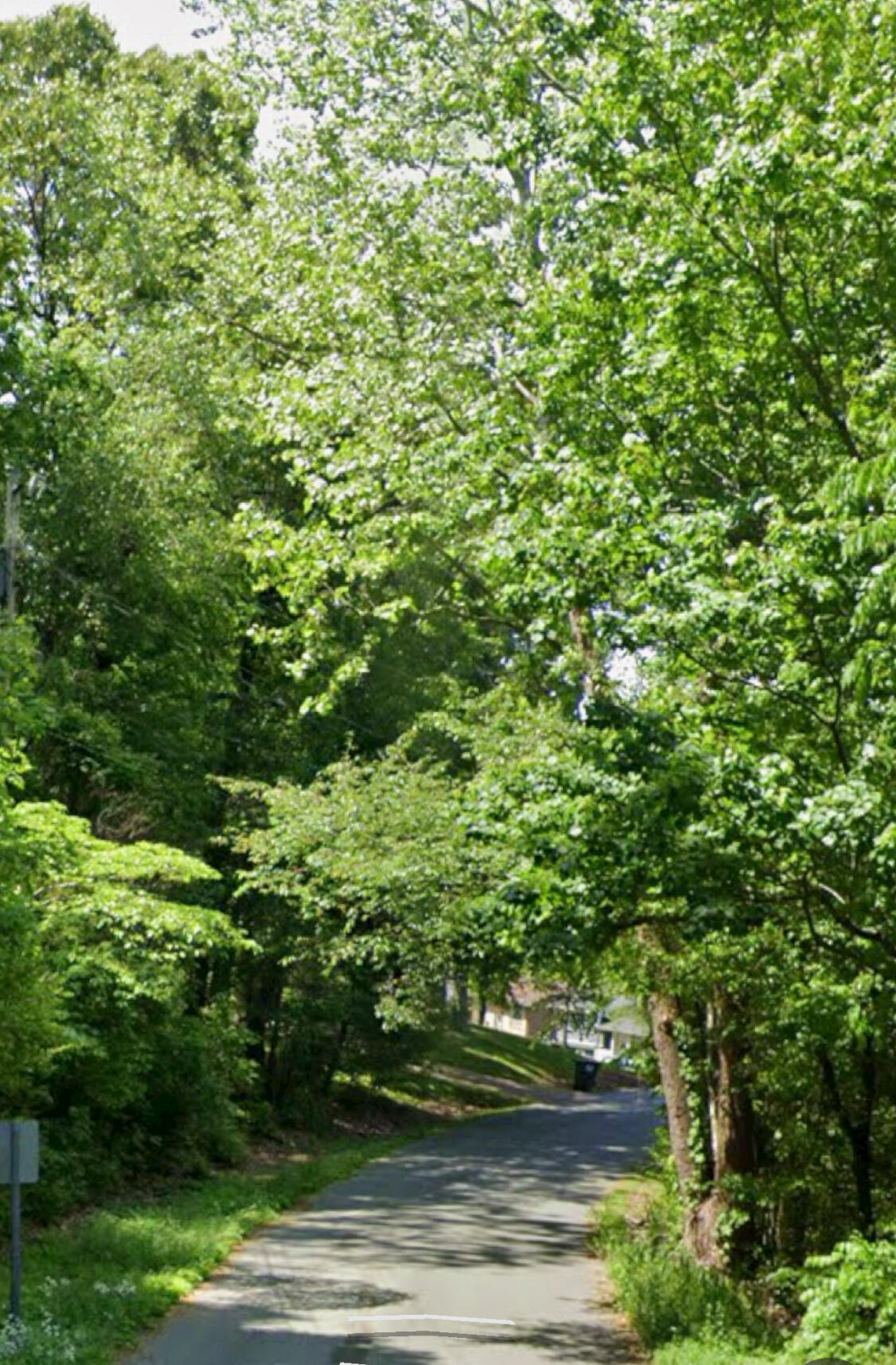 Tinkerbell Circle #LOT 27, Flintstone, Georgia image 2