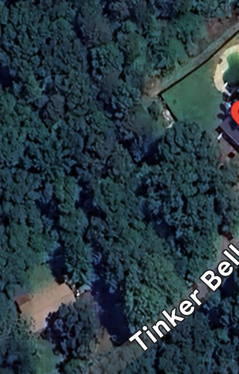 Tinkerbell Circle #LOT 27, Flintstone, Georgia image 4