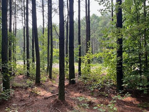 1771 Crockett Point #LOT JF 605, Jasper, Tennessee image 5