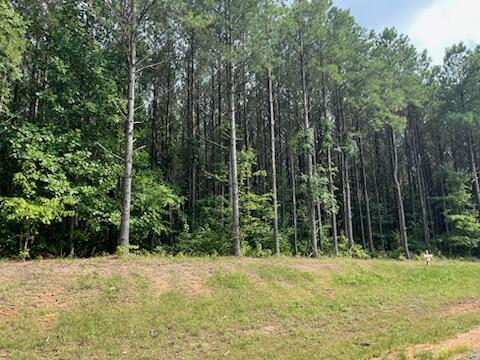 1771 Crockett Point #LOT JF 605, Jasper, Tennessee image 4