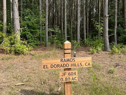 1771 Crockett Point #LOT JF 605, Jasper, Tennessee image 2