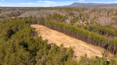 Tiny photo for Tract 4 Conniston Road, Chatsworth, GA 30705 (MLS # 1528012)