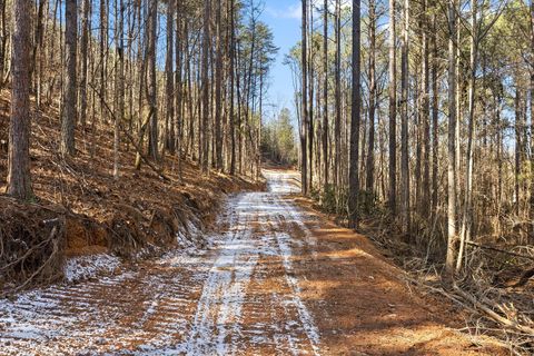 Tiny photo for Tract 4 Conniston Road, Chatsworth, GA 30705 (MLS # 1528012)
