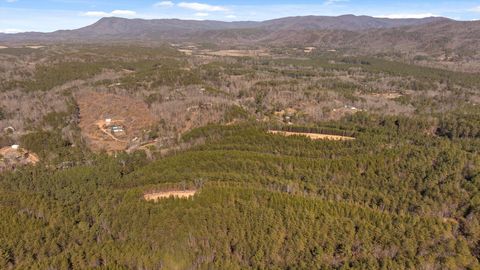 Tiny photo for Tract 4 Conniston Road, Chatsworth, GA 30705 (MLS # 1528012)