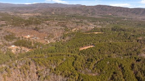 Tiny photo for Tract 4 Conniston Road, Chatsworth, GA 30705 (MLS # 1528012)