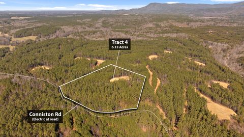 Photo of Tract 4 Conniston Road, Chatsworth, GA 30705 (MLS # 1528012)