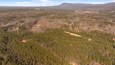 Tiny photo for Tract 4 Conniston Road, Chatsworth, GA 30705 (MLS # 1528012)