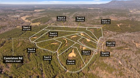 Tiny photo for Tract 4 Conniston Road, Chatsworth, GA 30705 (MLS # 1528012)