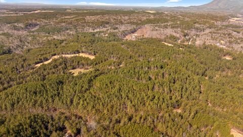 Tiny photo for Tract 4 Conniston Road, Chatsworth, GA 30705 (MLS # 1528012)