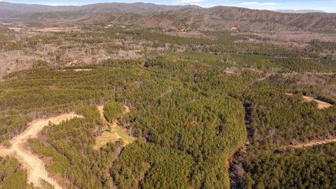 Tiny photo for Tract 4 Conniston Road, Chatsworth, GA 30705 (MLS # 1528012)