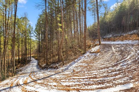 Tiny photo for Tract 4 Conniston Road, Chatsworth, GA 30705 (MLS # 1528012)