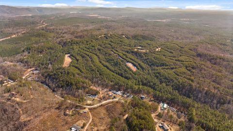 Tiny photo for Tract 4 Conniston Road, Chatsworth, GA 30705 (MLS # 1528012)