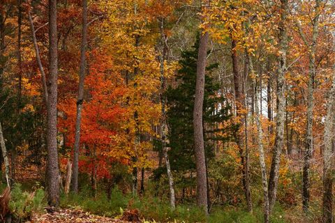 Tiny photo for 0 Worley Road, Soddy Daisy, TN 37379 (MLS # 1509939)