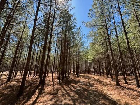 Tiny photo for 0 Worley Road, Soddy Daisy, TN 37379 (MLS # 1509939)