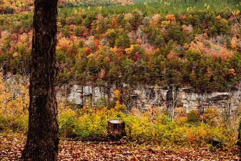 Tiny photo for 0 Worley Road, Soddy Daisy, TN 37379 (MLS # 1509939)