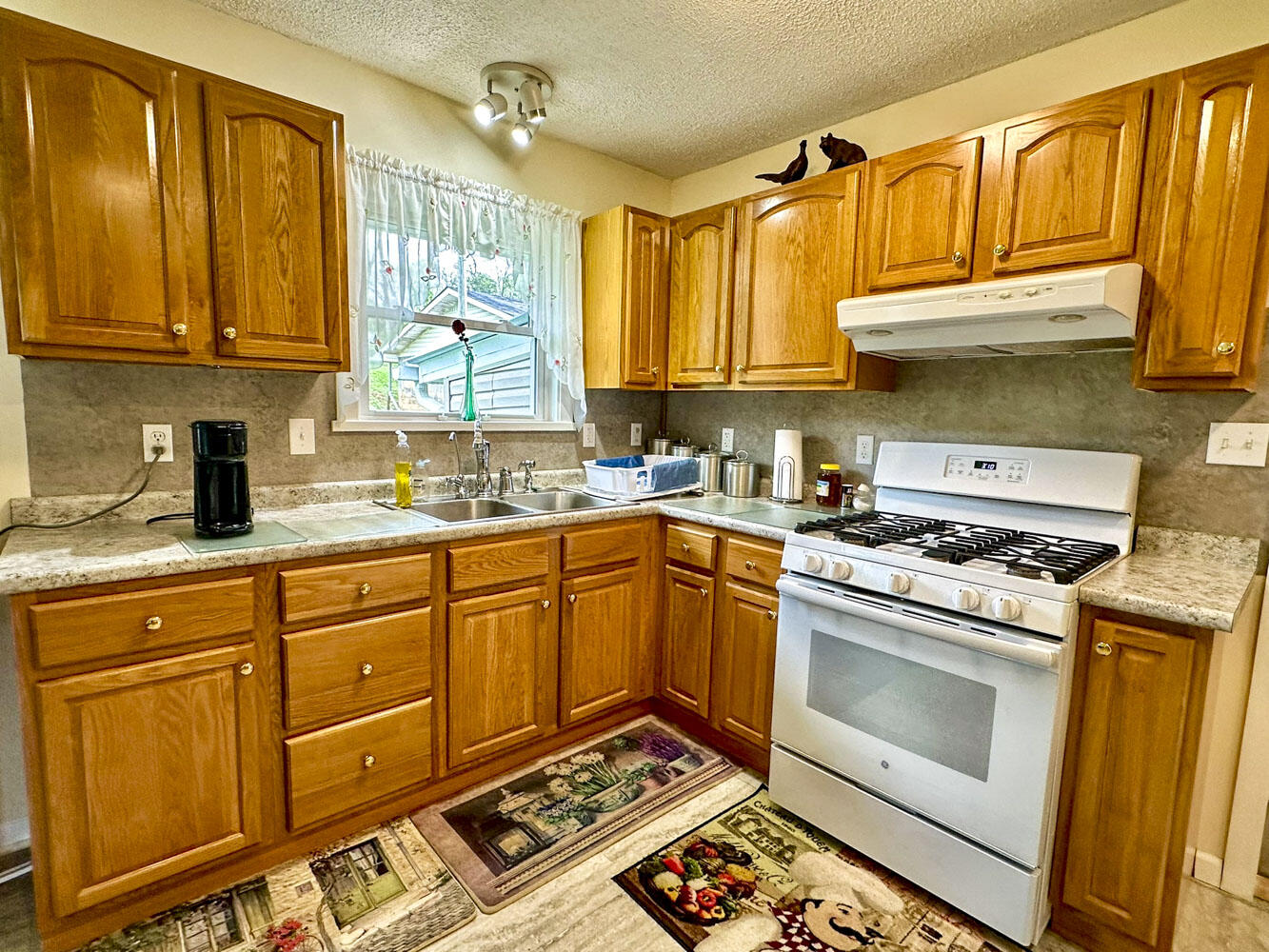 3109 Old Highway 411, Dandridge, Tennessee image 23