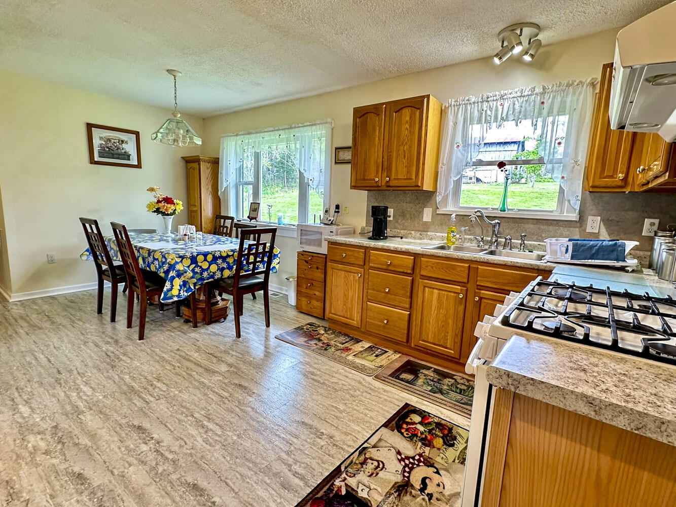 3109 Old Highway 411, Dandridge, Tennessee image 22