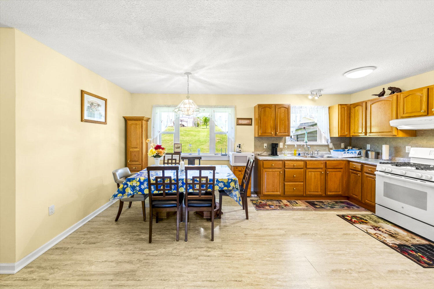 3109 Old Highway 411, Dandridge, Tennessee image 10