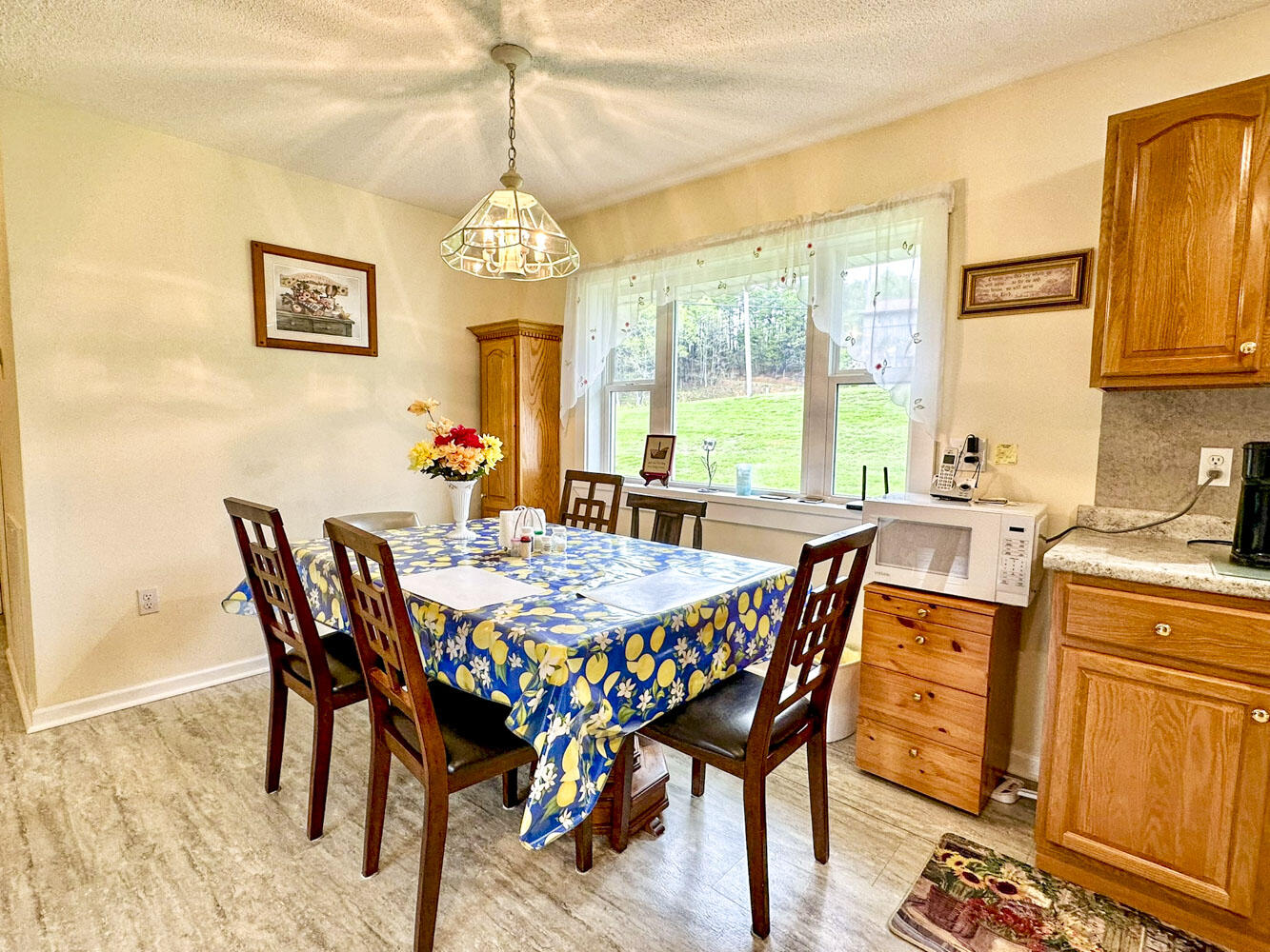 3109 Old Highway 411, Dandridge, Tennessee image 21