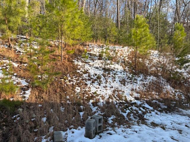216 Smith Road, Copperhill, Tennessee image 13
