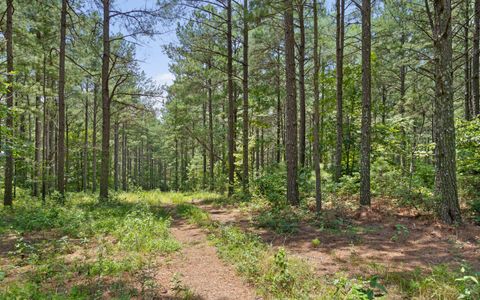 Tiny photo for Lot 2045 Constellation Court, Guild, TN 37340 (MLS # 1518130)