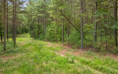 Tiny photo for Lot 2045 Constellation Court, Guild, TN 37340 (MLS # 1518130)