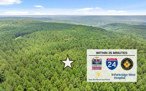 Tiny photo for Lot 2045 Constellation Court, Guild, TN 37340 (MLS # 1518130)