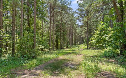 Tiny photo for Lot 2045 Constellation Court, Guild, TN 37340 (MLS # 1518130)