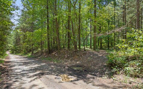Tiny photo for Lot 2045 Constellation Court, Guild, TN 37340 (MLS # 1518130)