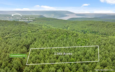 Tiny photo for Lot 2045 Constellation Court, Guild, TN 37340 (MLS # 1518130)