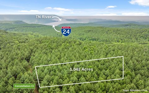 Tiny photo for Lot 2045 Constellation Court, Guild, TN 37340 (MLS # 1518130)